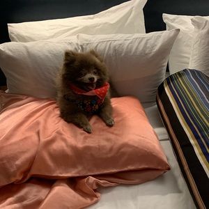 Meet your Posher, Andrea